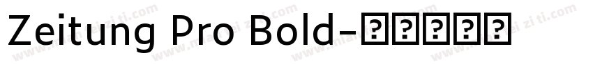 Zeitung Pro Bold字体转换